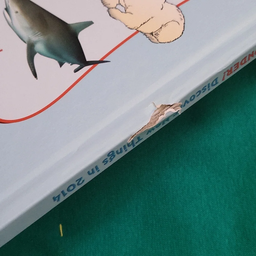 Cat and Hat books - Picture 3 of 3